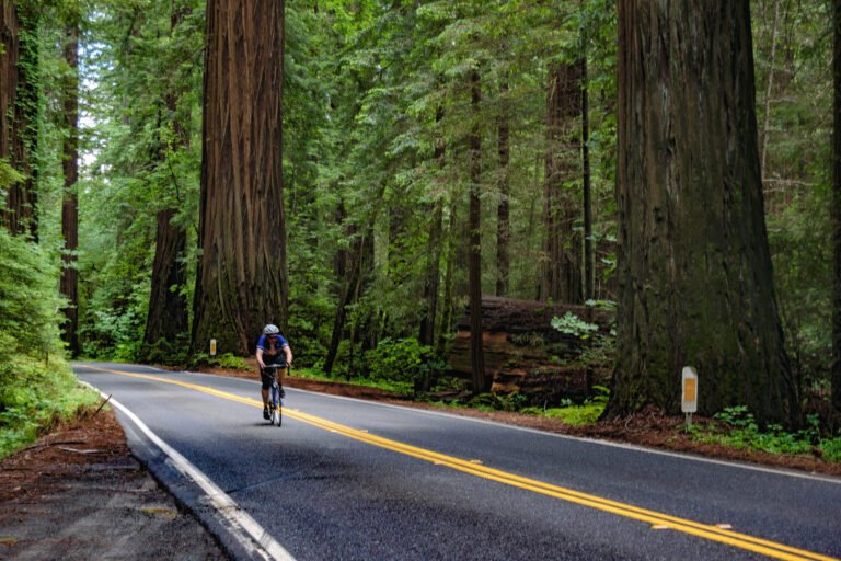 🚴 Por qué deberías empezar en el ciclismo: